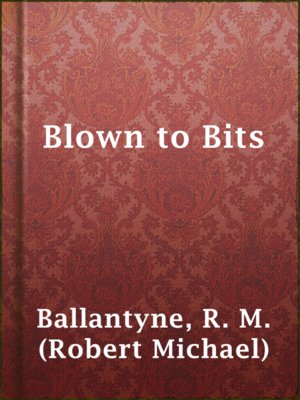 Blown to Bits - ebook